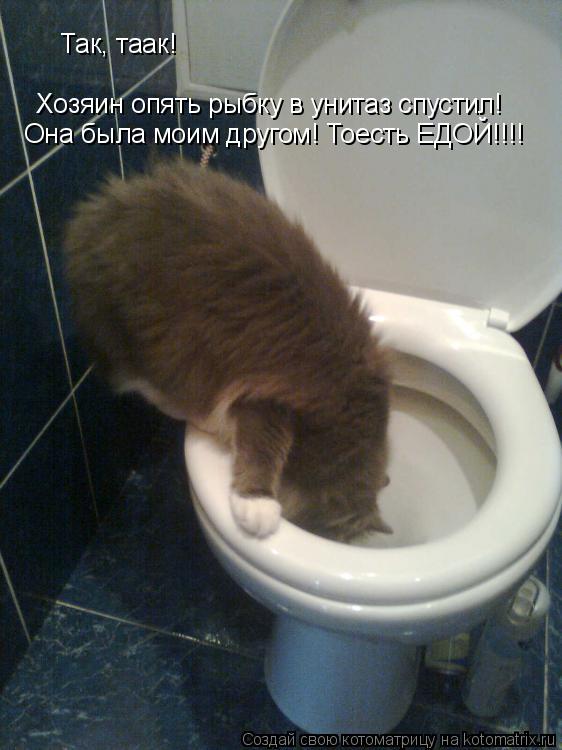 Так-таак! Хозяин опять рыбку в унитаз спустил! Хозяин опять рыбку в унитаз спустил! Так, таак! Она ... Котоматрица: Так-таак! Хозяин опять рыбку в унитаз спустил! Хозяин опять рыбку в унитаз спустил! Так, таак! Она была моим другом! Тоесть ЕДОЙ!!!!