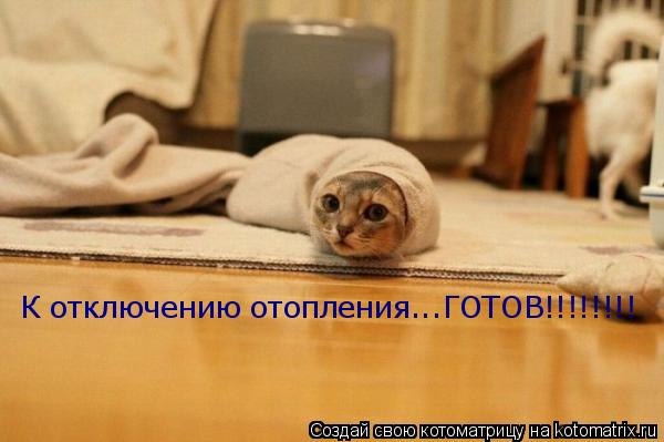 К отключению отопления...ГОТОВ!!!!!!!!... Котоматрица: К отключению отопления...ГОТОВ!!!!!!!!