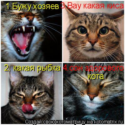 2. какая рыбка 3.Вау какая киса 4.сон здорового 1.Бужу хозяев кота... Котоматрица: 2. какая рыбка 3.Вау какая киса 4.сон здорового 1.Бужу хозяев кота