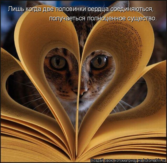 Лишь когда две половинки сердца соединяються, получаеться полноценное существо.... Котоматрица: Лишь когда две половинки сердца соединяються, получаеться полноценное существо.