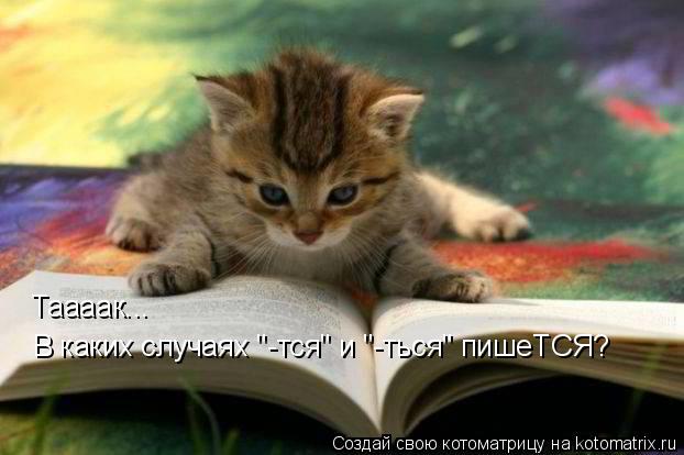 Таааак... В каких случаях "-тся" и "-ться" пишеТСЯ?... Котоматрица: Таааак... В каких случаях "-тся" и "-ться" пишеТСЯ?