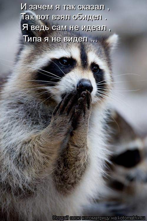 И зачем я так сказал , Так вот взял обидел . Я ведь сам не идеал , Типа я не видел ...... Котоматрица: И зачем я так сказал , Так вот взял обидел . Я ведь сам не идеал , Типа я не видел ...
