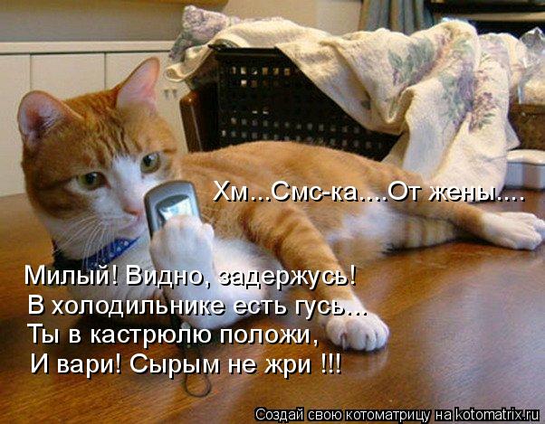 Хм...Смс-ка....От жены.... Милый! Видно, задержусь! В холодильнике есть гусь... Ты в кастрюлю положи,... Котоматрица: Хм...Смс-ка....От жены.... Милый! Видно, задержусь! В холодильнике есть гусь... Ты в кастрюлю положи, И вари! Сырым не жри !!!
