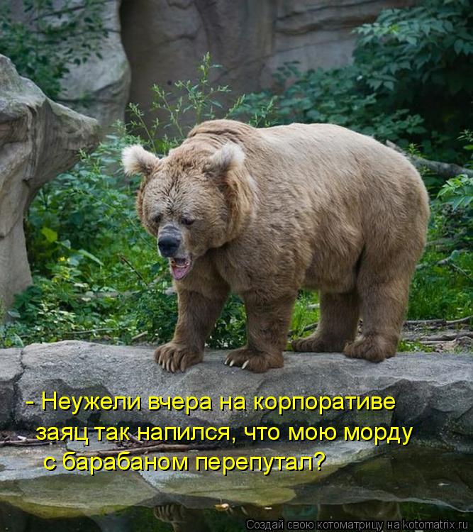 - Неужели вчера на корпоративе с барабаном перепутал? заяц так напился, что мою морду... Котоматрица: - Неужели вчера на корпоративе с барабаном перепутал? заяц так напился, что мою морду