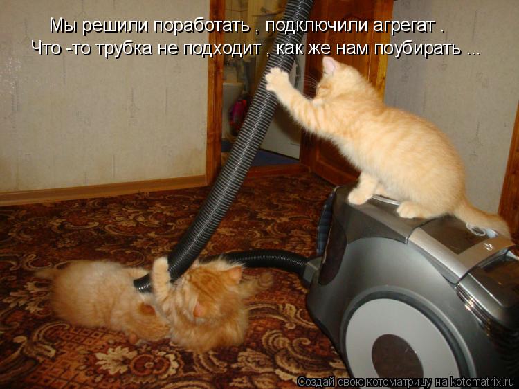 Мы решили поработать , подключили агрегат . Что -то трубка не подходит , как же нам поубирать ...... Котоматрица: Мы решили поработать , подключили агрегат . Что -то трубка не подходит , как же нам поубирать ...