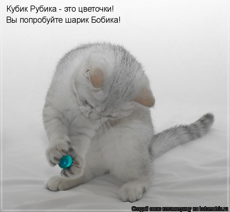 Кубик Рубика - это цветочки! Вы попробуйте шарик Бобика!... Котоматрица: Кубик Рубика - это цветочки! Вы попробуйте шарик Бобика!