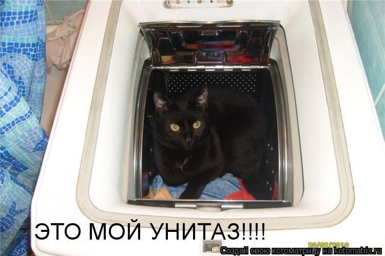 ЭТО МОЙ УНИТАЗ!!!!... Котоматрица: ЭТО МОЙ УНИТАЗ!!!!