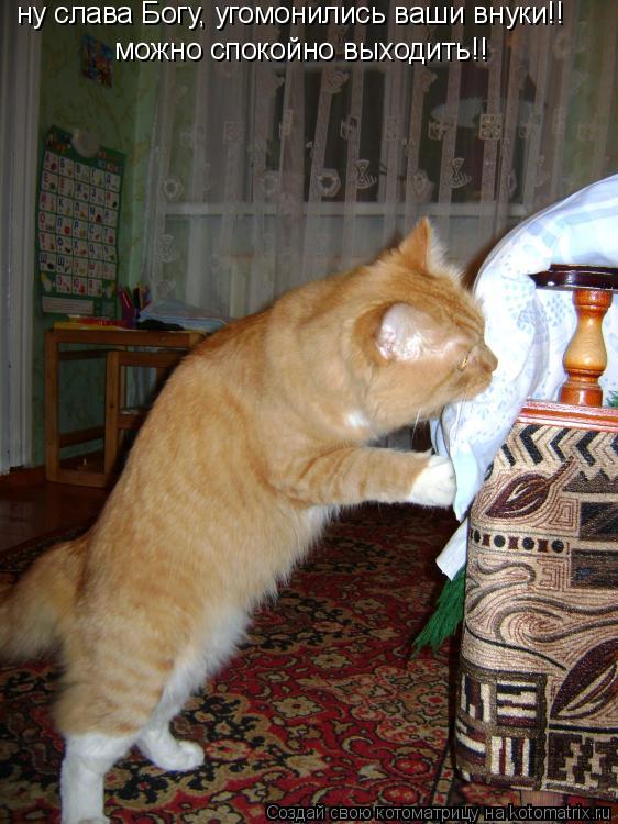 ну слава Богу, угомонились ваши внуки!! можно спокойно выходить!!... Котоматрица: ну слава Богу, угомонились ваши внуки!! можно спокойно выходить!!