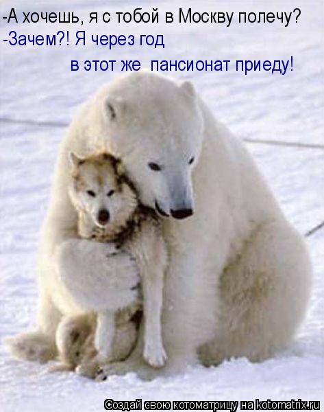-А хочешь, я с тобой в Москву полечу? -Зачем?! Я через год в этот же пансионат приеду!... Котоматрица: -А хочешь, я с тобой в Москву полечу? -Зачем?! Я через год в этот же пансионат приеду!