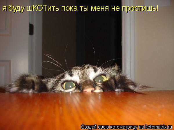 я буду шКОТить пока ты меня не простишь!... Котоматрица: я буду шКОТить пока ты меня не простишь!