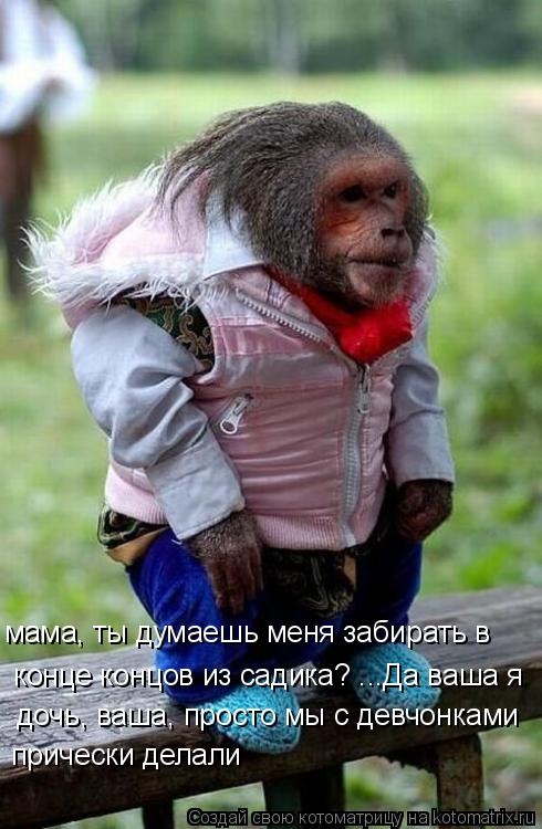 мама, ты думаешь меня забирать в конце концов из садика? ...Да ваша я дочь, ваша, просто мы с девч... Котоматрица: мама, ты думаешь меня забирать в конце концов из садика? ...Да ваша я дочь, ваша, просто мы с девчонками прически делали