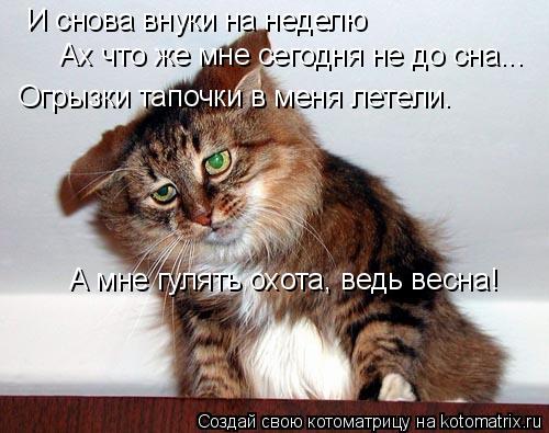 И снова внуки на неделю Ах что же мне сегодня не до сна... Огрызки тапочки в меня летели. А мне гулят... Котоматрица: И снова внуки на неделю Ах что же мне сегодня не до сна... Огрызки тапочки в меня летели. А мне гулять охота, ведь весна!
