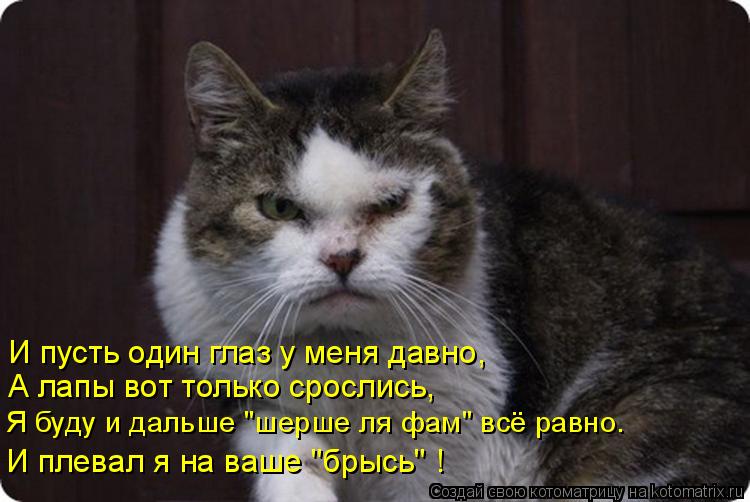 И пусть один глаз у меня давно, А лапы вот только срослись, Я буду и дальше "шерше ля фам" всё равно.... Котоматрица: И пусть один глаз у меня давно, А лапы вот только срослись, Я буду и дальше "шерше ля фам" всё равно. И плевал я на ваше "брысь" !