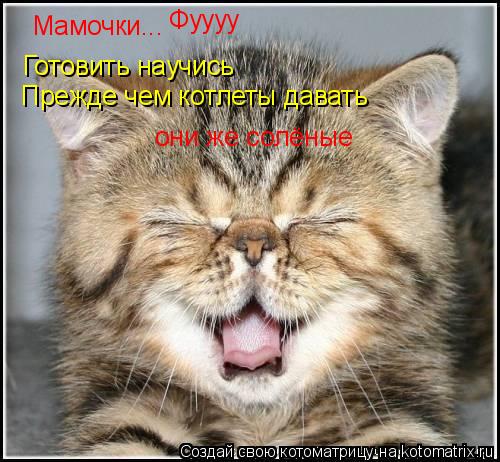 Мамочки... Готовить научись Прежде чем котлеты давать Фуууу они же солёные... Котоматрица: Мамочки... Готовить научись Прежде чем котлеты давать Фуууу они же солёные