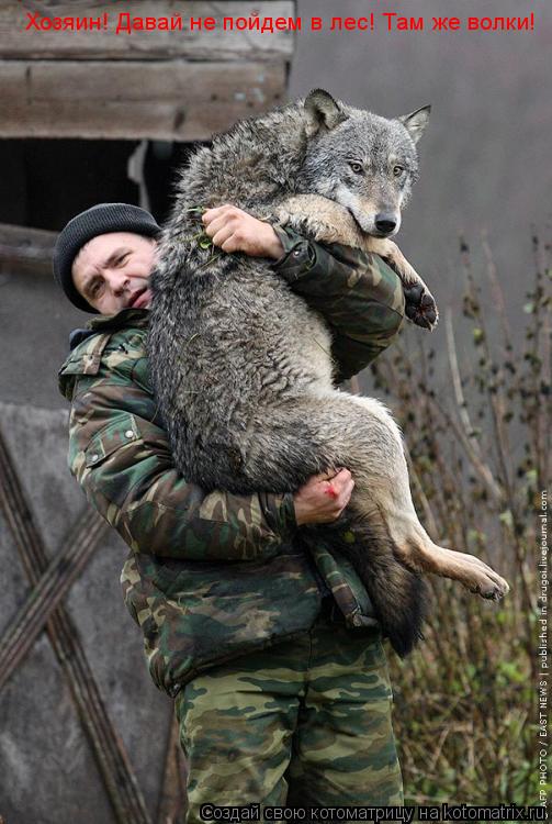 Хозяин! Давай не пойдем в лес! Там же волки!... Котоматрица: Хозяин! Давай не пойдем в лес! Там же волки!