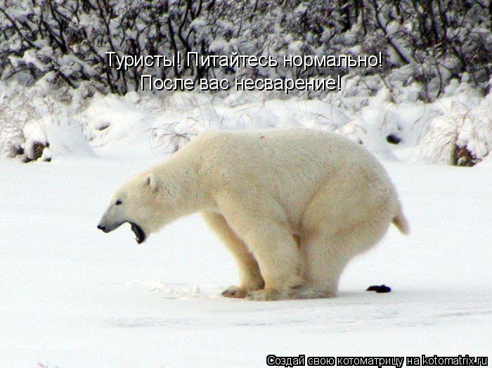 Туристы! Питайтесь нормально! После вас несварение!... Котоматрица: Туристы! Питайтесь нормально! После вас несварение!