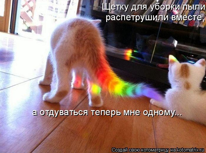 Щетку для уборки пыли распетрушили вместе, а отдуваться теперь мне одному...... Котоматрица: Щетку для уборки пыли распетрушили вместе, а отдуваться теперь мне одному...
