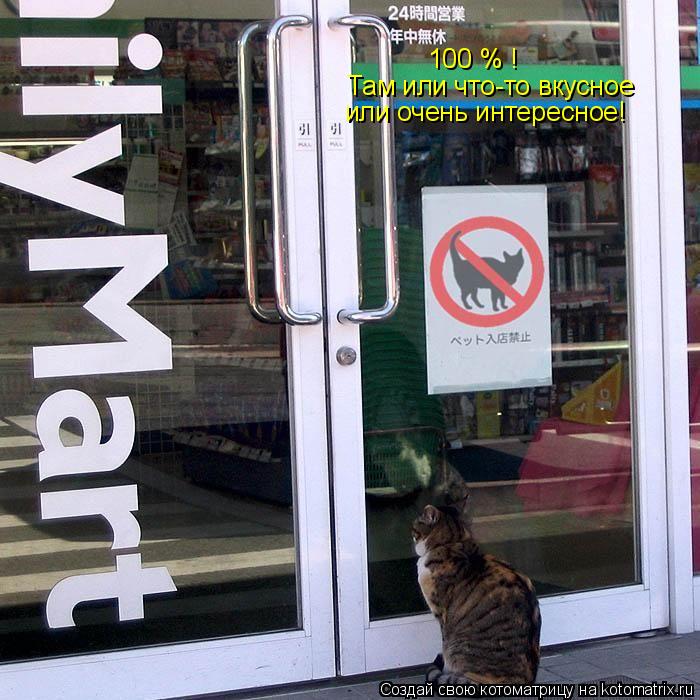 100 % ! Там или что-то вкусное или очень интересное!... Котоматрица: 100 % ! Там или что-то вкусное или очень интересное!