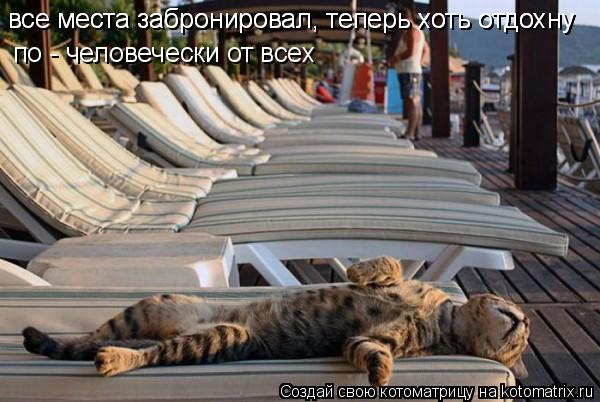 все места забронировал, теперь хоть отдохну все места забронировал, теперь хоть отдохну по - человеч... Котоматрица: все места забронировал, теперь хоть отдохну все места забронировал, теперь хоть отдохну по - человечески от всех
