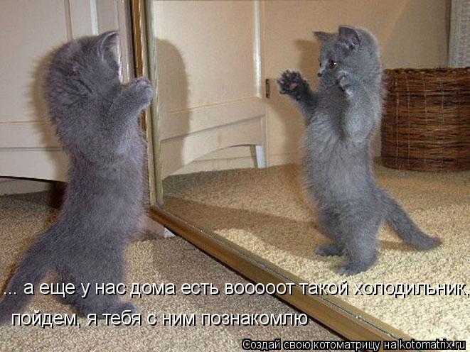 ... а еще у нас дома есть вооооот такой холодильник, пойдем, я тебя с ним познакомлю... Котоматрица: ... а еще у нас дома есть вооооот такой холодильник, пойдем, я тебя с ним познакомлю