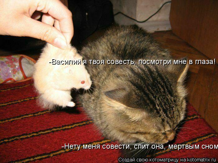-Василий я твоя совесть, посмотри мне в глаза! -Нету меня совести, спит она, мертвым сном!... Котоматрица: -Василий я твоя совесть, посмотри мне в глаза! -Нету меня совести, спит она, мертвым сном!