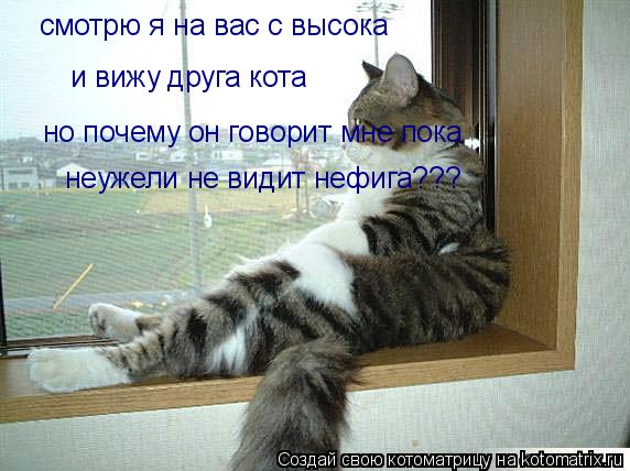 смотрю я на вас с высока и вижу друга кота но почему он говорит мне пока неужели не видит нефига???... Котоматрица: смотрю я на вас с высока и вижу друга кота но почему он говорит мне пока неужели не видит нефига???