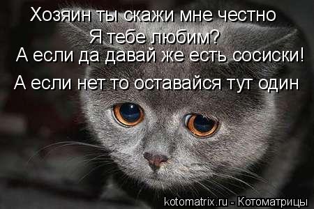 Хозяин ты скажи мне честно Я тебе любим? А если да давай же есть сосиски! А если нет то оставайся тут... Котоматрица: Хозяин ты скажи мне честно Я тебе любим? А если да давай же есть сосиски! А если нет то оставайся тут один