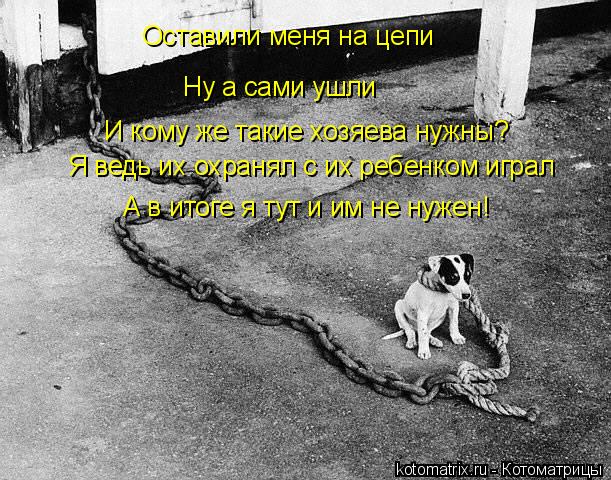 Оставили меня на цепи Ну а сами ушли И кому же такие хозяева нужны? Я ведь их охранял с их ребенком и... Котоматрица: Оставили меня на цепи Ну а сами ушли И кому же такие хозяева нужны? Я ведь их охранял с их ребенком играл А в итоге я тут и им не нужен!