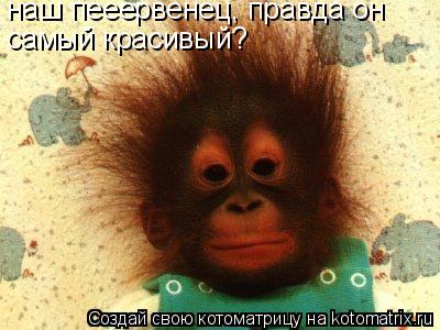 наш пееервенец, правда он самый красивый?... Котоматрица: наш пееервенец, правда он самый красивый?