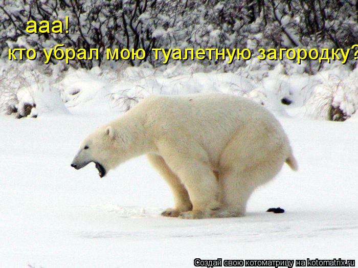 ааа! кто убрал мою туалетную загородку?... Котоматрица: ааа! кто убрал мою туалетную загородку?