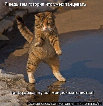 Я ведь вам говорил что умею танцевать танец дождя ну вот мои доказательства!... Котоматрица: Я ведь вам говорил что умею танцевать танец дождя ну вот мои доказательства!