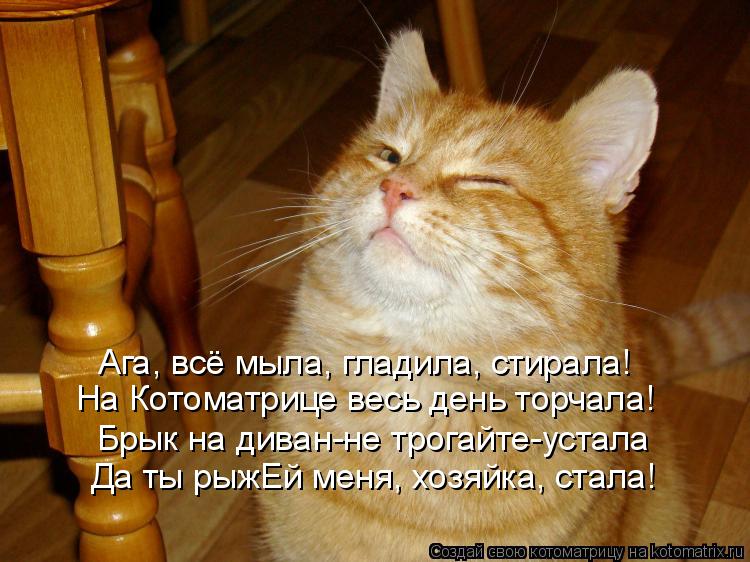 Ага, всё мыла, гладила, стирала! На Котоматрице весь день торчала! Брык на диван-не трогайте-устала Д... Котоматрица: Ага, всё мыла, гладила, стирала! На Котоматрице весь день торчала! Брык на диван-не трогайте-устала Да ты рыжЕй меня, хозяйка, стала!