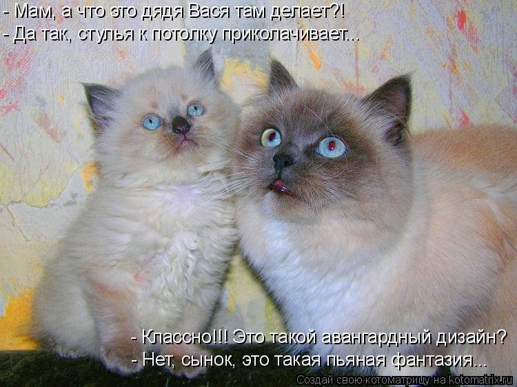 - Мам, а что это дядя Вася там делает?! - Да так, стулья к потолку приколачивает... - Классно!!! Это ... Котоматрица: - Мам, а что это дядя Вася там делает?! - Да так, стулья к потолку приколачивает... - Классно!!! Это такой авангардный дизайн? - Нет, сынок, это така