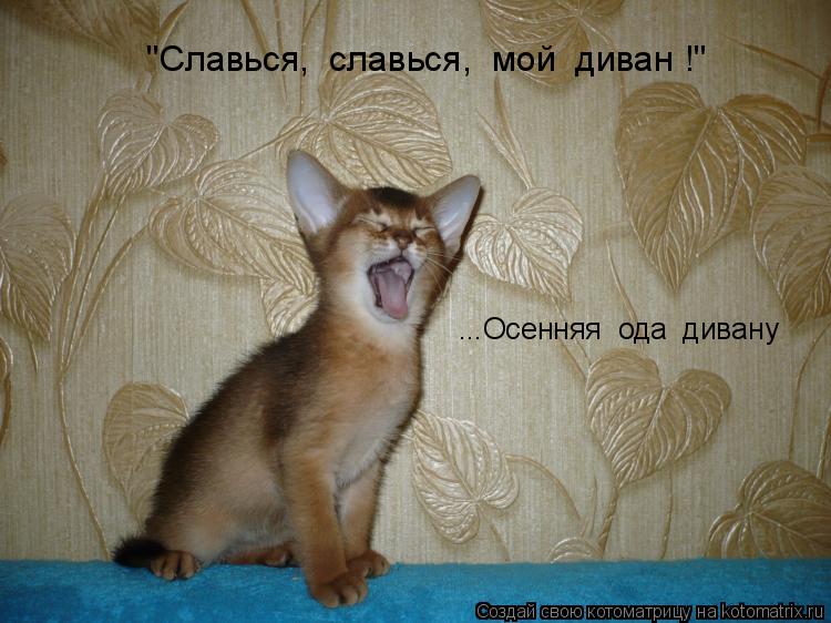 ...Осенняя ода дивану "Славься, славься, мой диван !"... Котоматрица: ...Осенняя ода дивану "Славься, славься, мой диван !"
