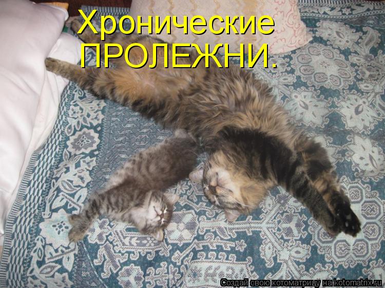 Хронические ПРОЛЕЖНИ.... Котоматрица: Хронические ПРОЛЕЖНИ.