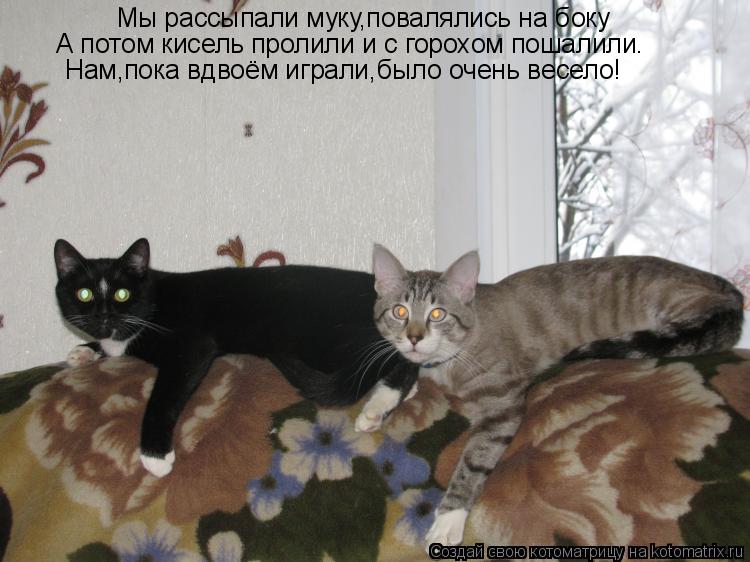 Мы рассыпали муку,повалялись на боку А потом кисель пролили и с горохом пошалили. Нам,пока вдвоём игр... Котоматрица: Мы рассыпали муку,повалялись на боку А потом кисель пролили и с горохом пошалили. Нам,пока вдвоём играли,было очень весело!