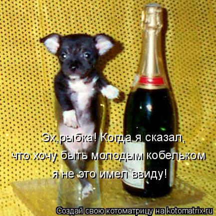 Эх,рыбка! Когда я сказал, что хочу быть молодым кобельком я не это имел ввиду!... Котоматрица: Эх,рыбка! Когда я сказал, что хочу быть молодым кобельком я не это имел ввиду!