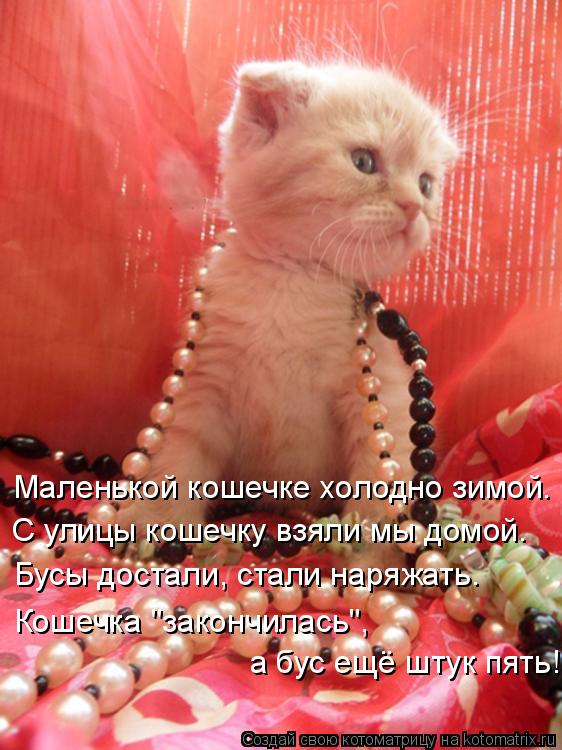 Маленькой кошечке холодно зимой. С улицы кошечку взяли мы домой. Бусы достали, стали наряжать. Кошечк... Котоматрица: Маленькой кошечке холодно зимой. С улицы кошечку взяли мы домой. Бусы достали, стали наряжать. Кошечка "закончилась", а бус ещё штук пять!