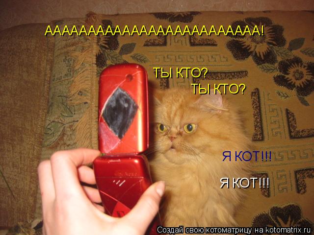 Я КОТ!!! Я КОТ!!! ТЫ КТО? ТЫ КТО? ААААААААААААААААААААААААА!... Котоматрица: Я КОТ!!! Я КОТ!!! ТЫ КТО? ТЫ КТО? ААААААААААААААААААААААААА!