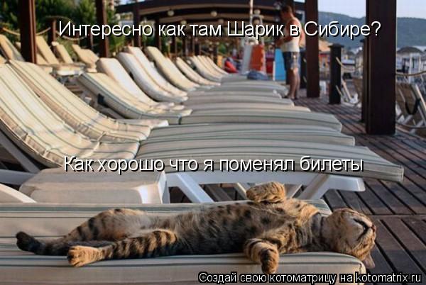 Интересно как там Шарик в Сибире? Как хорошо что я поменял билеты... Котоматрица: Интересно как там Шарик в Сибире? Как хорошо что я поменял билеты