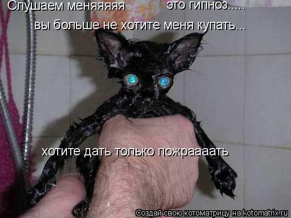 Слушаем меняяяяя это гипноз..... вы больше не хотите меня купать... хотите дать только пожраааать... Котоматрица: Слушаем меняяяяя это гипноз..... вы больше не хотите меня купать... хотите дать только пожраааать