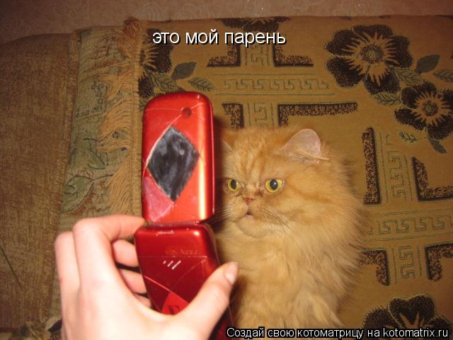 это мой парень... Котоматрица: это мой парень