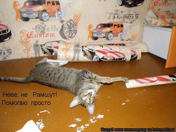 Неее, не Рамшут! Помогаю просто... Котоматрица: Неее, не Рамшут! Помогаю просто