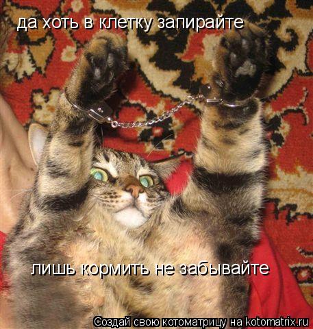 да хоть в клетку запирайте лишь кормить не забывайте... Котоматрица: да хоть в клетку запирайте лишь кормить не забывайте