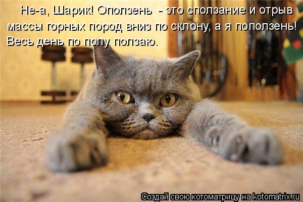 Не-а, Шарик! Оползень - это сползание и отрыв массы горных пород вниз по склону, а я поползень! Вес... Котоматрица: Не-а, Шарик! Оползень - это сползание и отрыв массы горных пород вниз по склону, а я поползень! Весь день по полу ползаю.