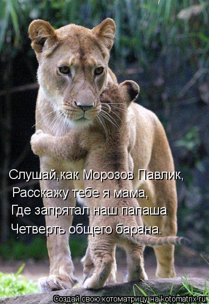 Слушай,как Морозов Павлик, Расскажу тебе я мама, Где запрятал наш папаша Четверть общего барана.... Котоматрица: Слушай,как Морозов Павлик, Расскажу тебе я мама, Где запрятал наш папаша Четверть общего барана.