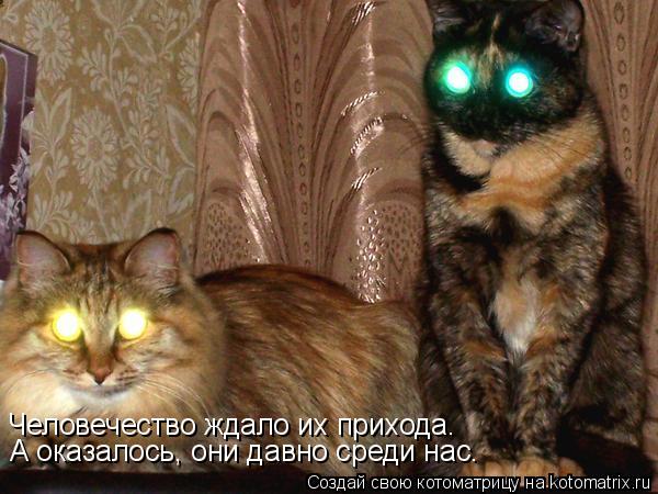 Человечество ждало их прихода. А оказалось, они давно среди нас.... Котоматрица: Человечество ждало их прихода. А оказалось, они давно среди нас.