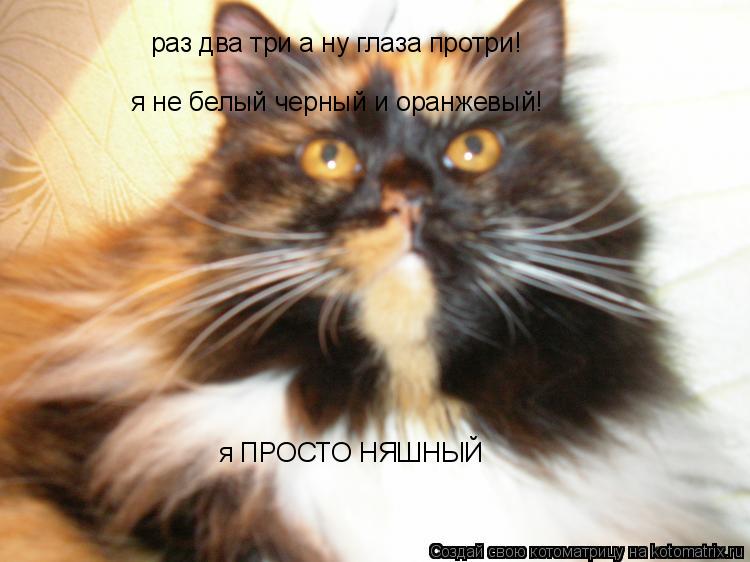 раз два три а ну глаза протри! я не белый черный и оранжевый! я ПРОСТО НЯШНЫЙ... Котоматрица: раз два три а ну глаза протри! я не белый черный и оранжевый! я ПРОСТО НЯШНЫЙ
