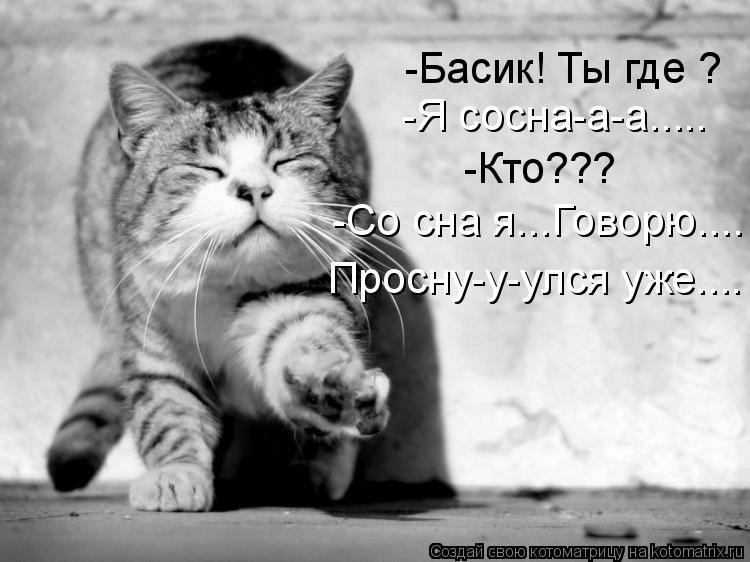 -Кто??? -Басик! Ты где ? -Я сосна-а-а..... -Со сна я...Говорю.... Просну-у-улся уже....... Котоматрица: -Кто??? -Басик! Ты где ? -Я сосна-а-а..... -Со сна я...Говорю.... Просну-у-улся уже....