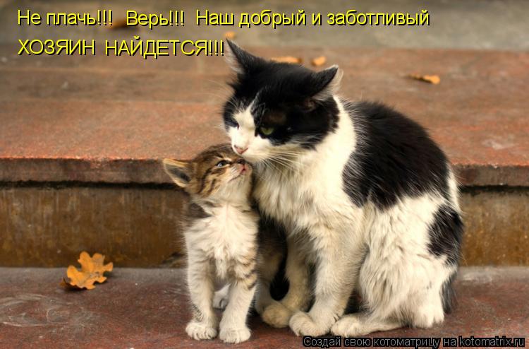 Котоматрица: Не плачь!!! Верь!!! Наш добрый и заботливый ХОЗЯИН НАЙДЕТСЯ!!!